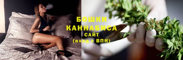 дмт Новодвинск
